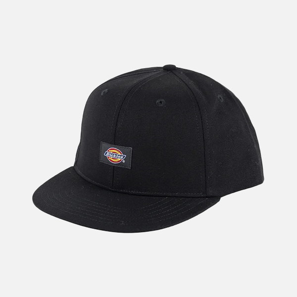 Dickies Carpenter 6 Panel Cap - EC Graphite