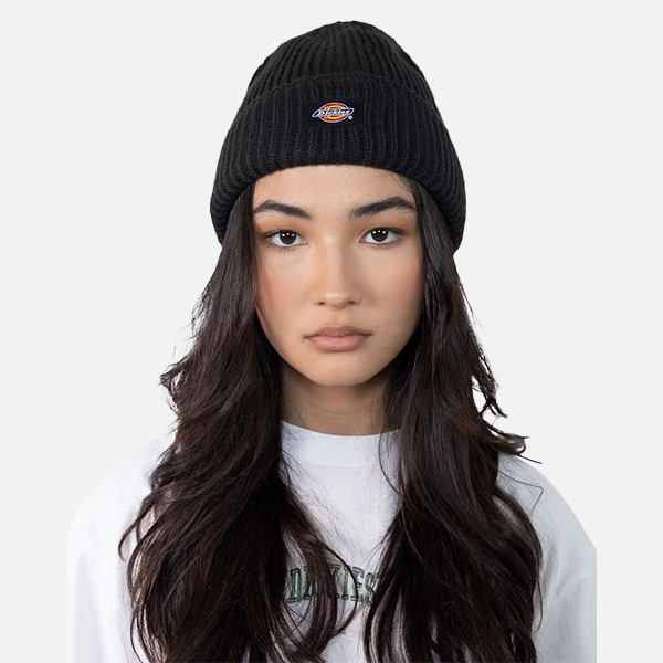 Dickies Classic Label Cuff Beanie Propaganda Streetwear Skate