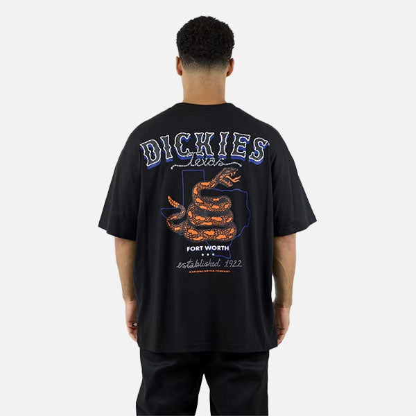 Dickies Texas Snakes 330 Oversized Box Fit Tee - Black