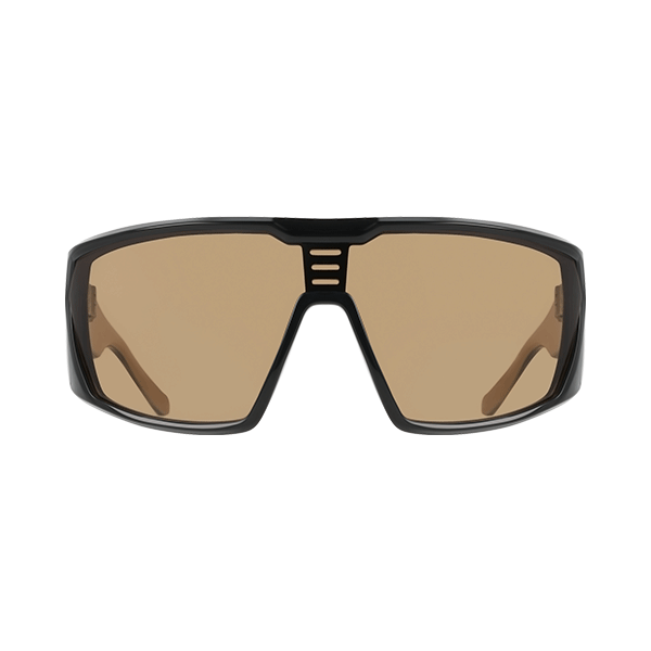 Dragon Sunglasses Chasm Black/ LL Brown