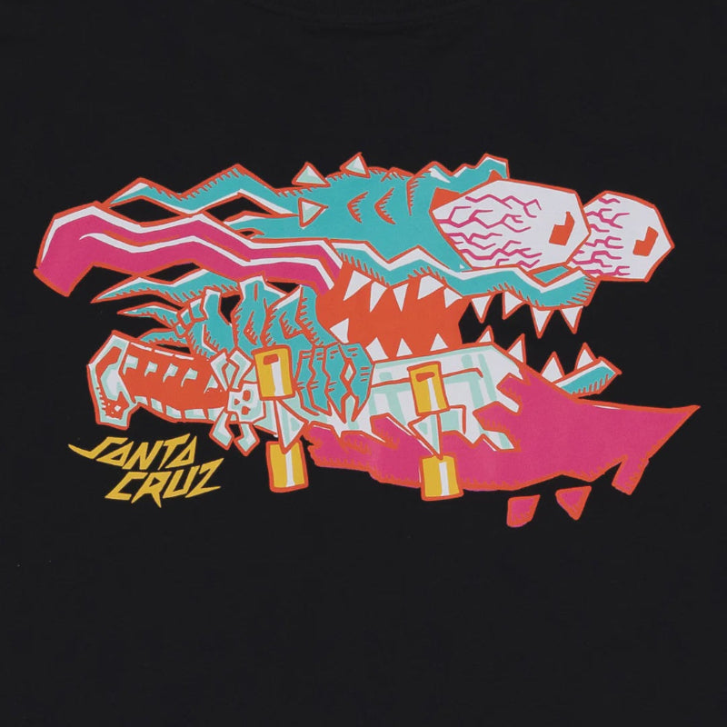 Colorful graphic design on a black background with 'Santa Cruz' branding.